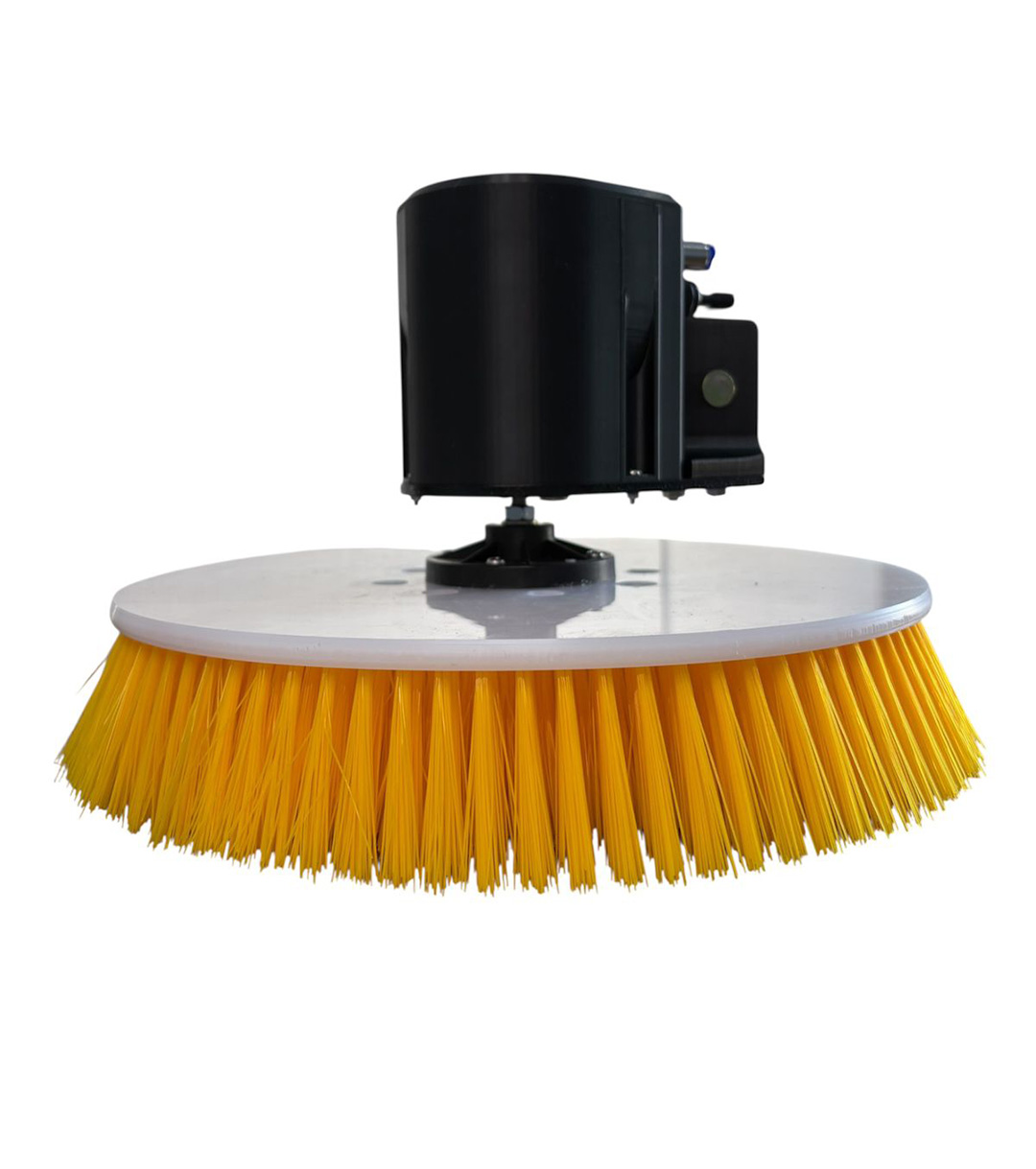 WhatsApp Image 2025-07-30 at 18.03.15 (1)